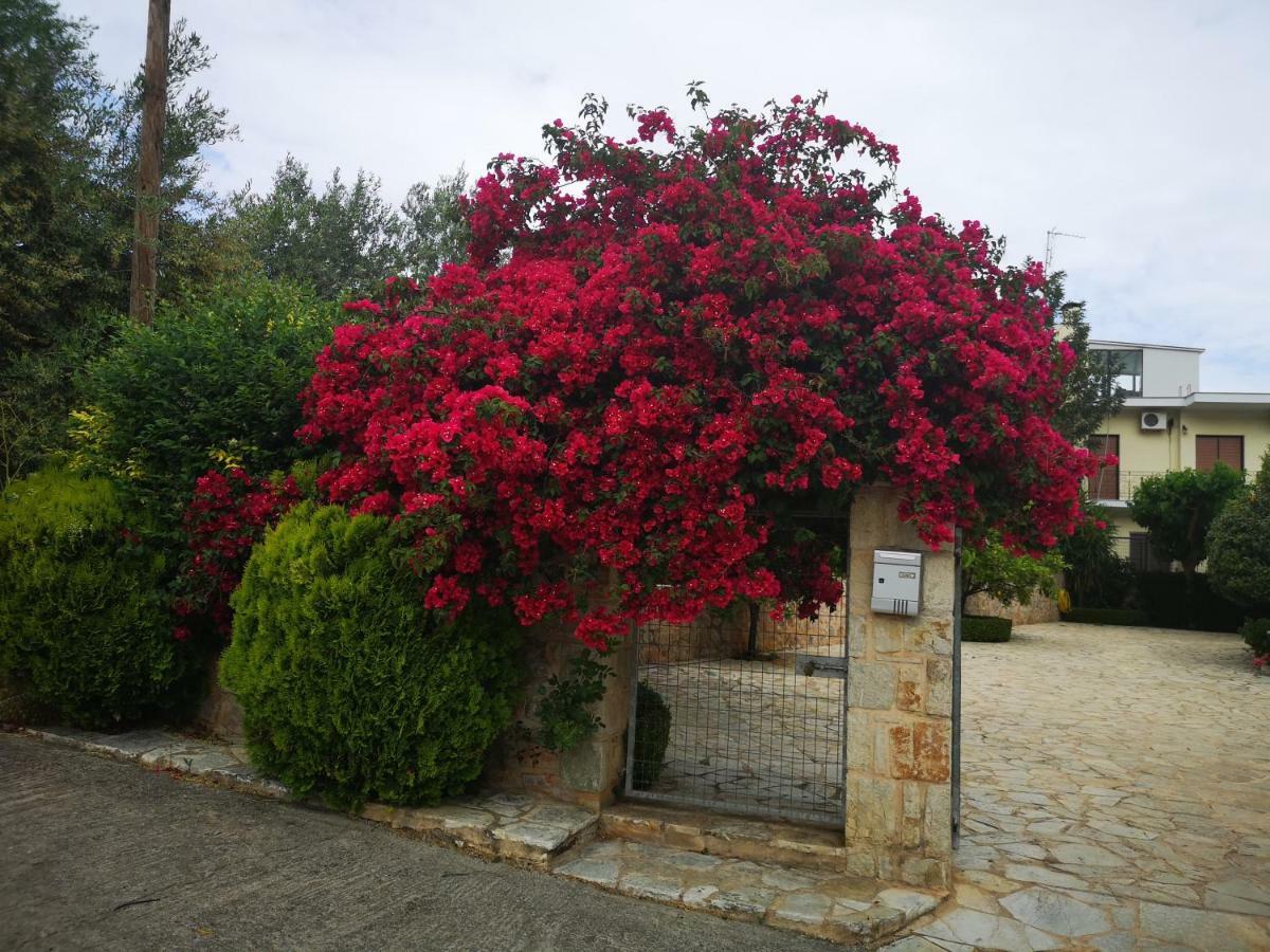 Hotel Patelis Poúlithra Exterior foto